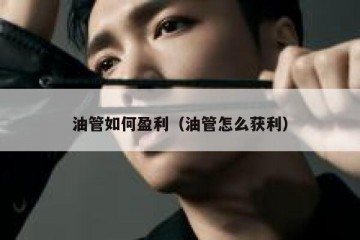 油管如何盈利（油管怎么获利）