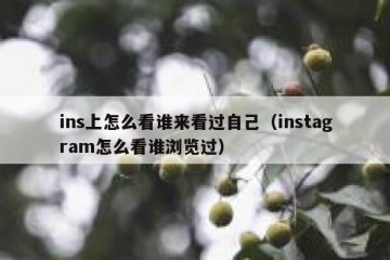 ins上怎么看谁来看过自己（instagram怎么看谁浏览过）