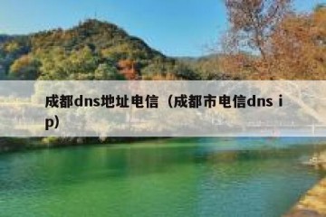 成都dns地址电信（成都市电信dns ip）