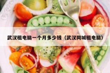 武汉租电脑一个月多少钱（武汉同城租电脑）
