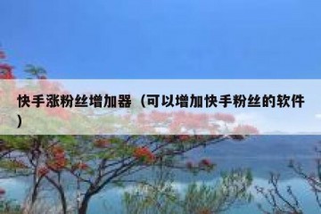 快手涨粉丝增加器（可以增加快手粉丝的软件）