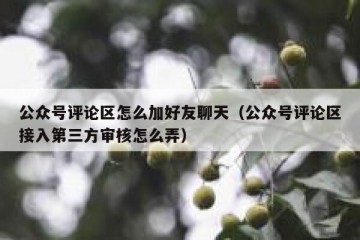 公众号评论区怎么加好友聊天（公众号评论区接入第三方审核怎么弄）