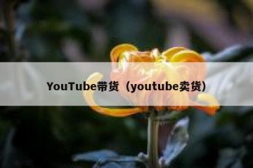 YouTube带货（youtube卖货）