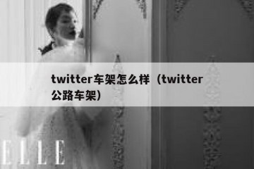 twitter车架怎么样（twitter公路车架）