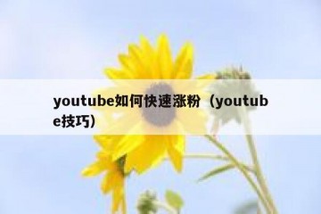 youtube如何快速涨粉（youtube技巧）