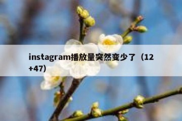 instagram播放量突然变少了（12+47）