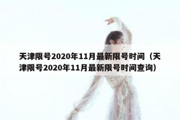 天津限号2020年11月最新限号时间（天津限号2020年11月最新限号时间查询）