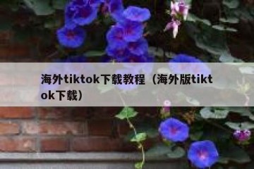海外tiktok下载教程（海外版tiktok下载）
