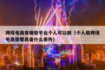 跨境电商有哪些平台个人可以做（个人做跨境电商需要具备什么条件）