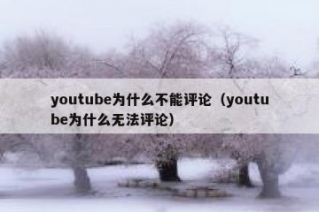 youtube为什么不能评论（youtube为什么无法评论）