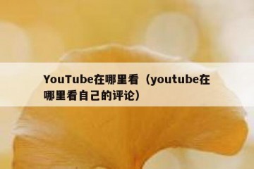 YouTube在哪里看（youtube在哪里看自己的评论）