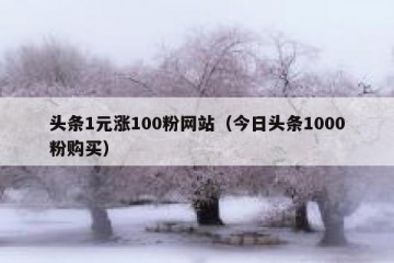 头条1元涨100粉网站（今日头条1000粉购买）