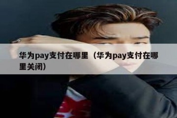 华为pay支付在哪里（华为pay支付在哪里关闭）