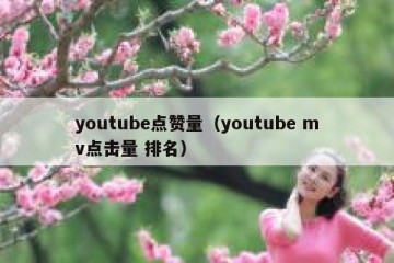 youtube点赞量（youtube mv点击量 排名）