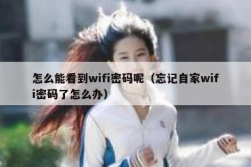 怎么能看到wifi密码呢（忘记自家wifi密码了怎么办）