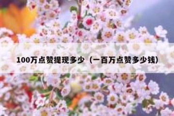 100万点赞提现多少（一百万点赞多少钱）