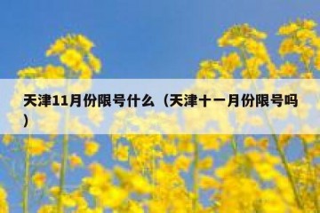 天津11月份限号什么（天津十一月份限号吗）