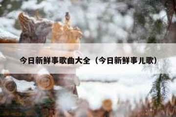 今日新鲜事歌曲大全（今日新鲜事儿歌）