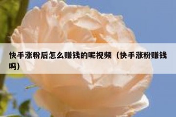 快手涨粉后怎么赚钱的呢视频（快手涨粉赚钱吗）