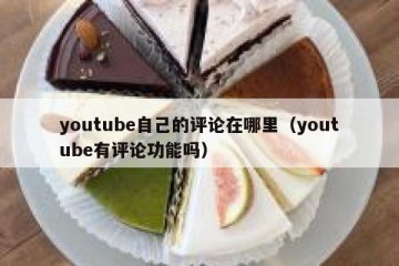 youtube自己的评论在哪里（youtube有评论功能吗）