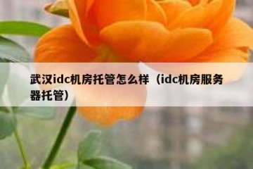武汉idc机房托管怎么样（idc机房服务器托管）