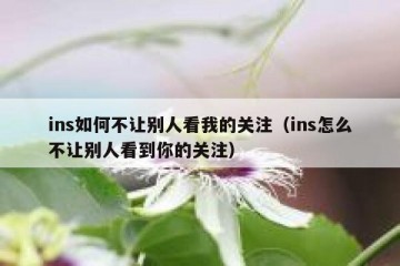 ins如何不让别人看我的关注（ins怎么不让别人看到你的关注）