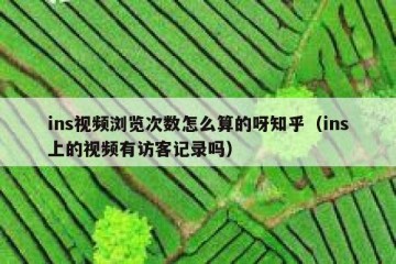 ins视频浏览次数怎么算的呀知乎（ins上的视频有访客记录吗）