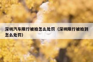 深圳汽车限行被拍怎么处罚（深圳限行被拍到怎么处罚）