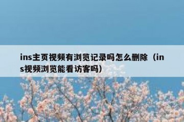 ins主页视频有浏览记录吗怎么删除（ins视频浏览能看访客吗）