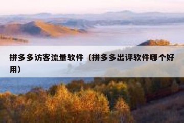 拼多多访客流量软件（拼多多出评软件哪个好用）