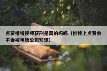 点赞推特视频获刑是真的吗吗（推特上点赞会不会被电信公司知道）