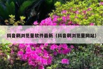 抖音刷浏览量软件最新（抖音刷浏览量网站）