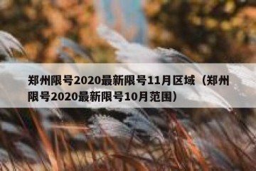 郑州限号2020最新限号11月区域（郑州限号2020最新限号10月范围）
