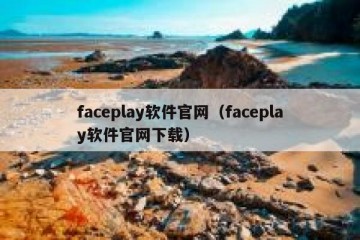 faceplay软件官网（faceplay软件官网下载）