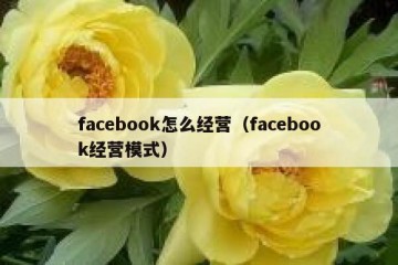facebook怎么经营（facebook经营模式）