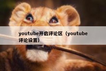youtube开启评论区（youtube评论设置）