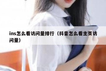ins怎么看访问量排行（抖音怎么看主页访问量）