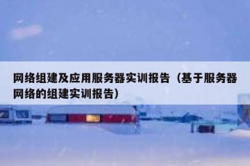 网络组建及应用服务器实训报告（基于服务器网络的组建实训报告）