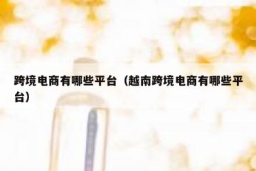 跨境电商有哪些平台（越南跨境电商有哪些平台）