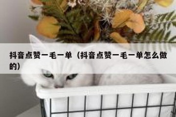 抖音点赞一毛一单（抖音点赞一毛一单怎么做的）