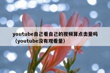 youtube自己看自己的视频算点击量吗（youtube没有观看量）