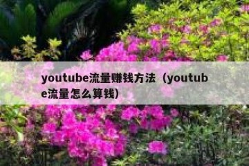 youtube流量赚钱方法（youtube流量怎么算钱）