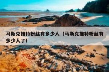 马斯克推特粉丝有多少人（马斯克推特粉丝有多少人了）
