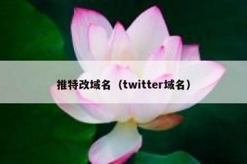 推特改域名（twitter域名）