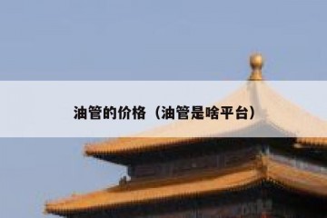油管的价格（油管是啥平台）
