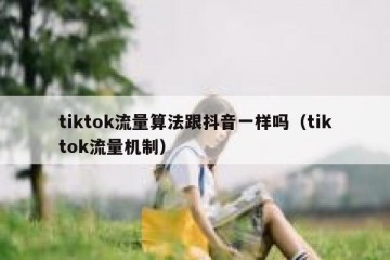 tiktok流量算法跟抖音一样吗（tiktok流量机制）