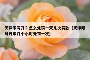 天津限号开车怎么处罚一天几次罚款（天津限号开车几个小时处罚一次）
