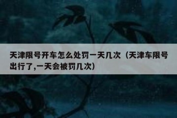 天津限号开车怎么处罚一天几次（天津车限号出行了,一天会被罚几次）