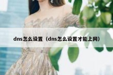 dns怎么设置（dns怎么设置才能上网）