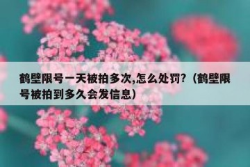 鹤壁限号一天被拍多次,怎么处罚?（鹤壁限号被拍到多久会发信息）